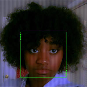 Meet your Posher, Autumn